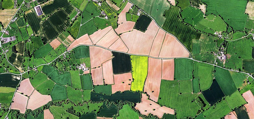 Aerial view of farmland plots
